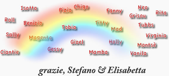 bestfriend agility grison elisabetta stefano tomasi